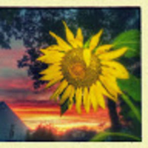 Meet your Posher, Marjorie